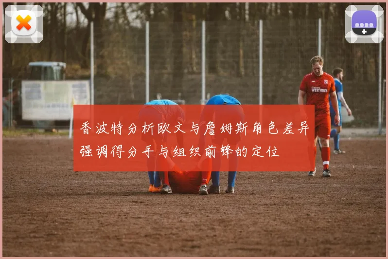 香波特分析欧文与詹姆斯角色差异强调得分手与组织前锋的定位