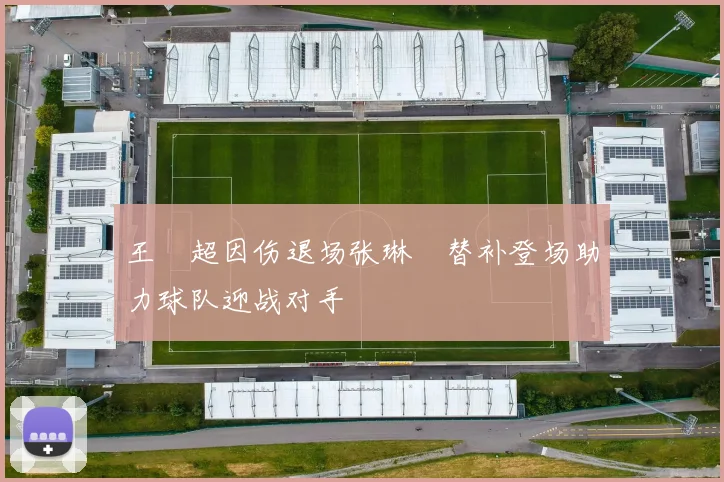 王燊超因伤退场张琳芃替补登场助力球队迎战对手