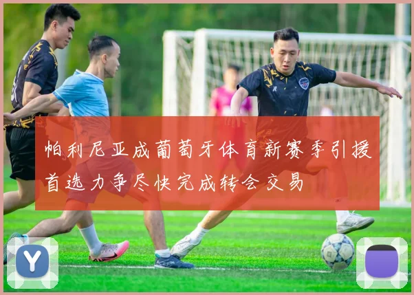 帕利尼亚成葡萄牙体育新赛季引援首选力争尽快完成转会交易