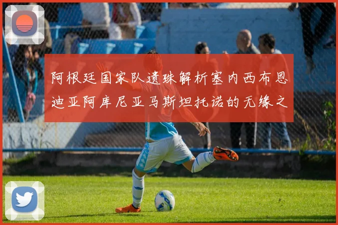 阿根廷国家队遗珠解析塞内西布恩迪亚阿库尼亚马斯坦托诺的无缘之路